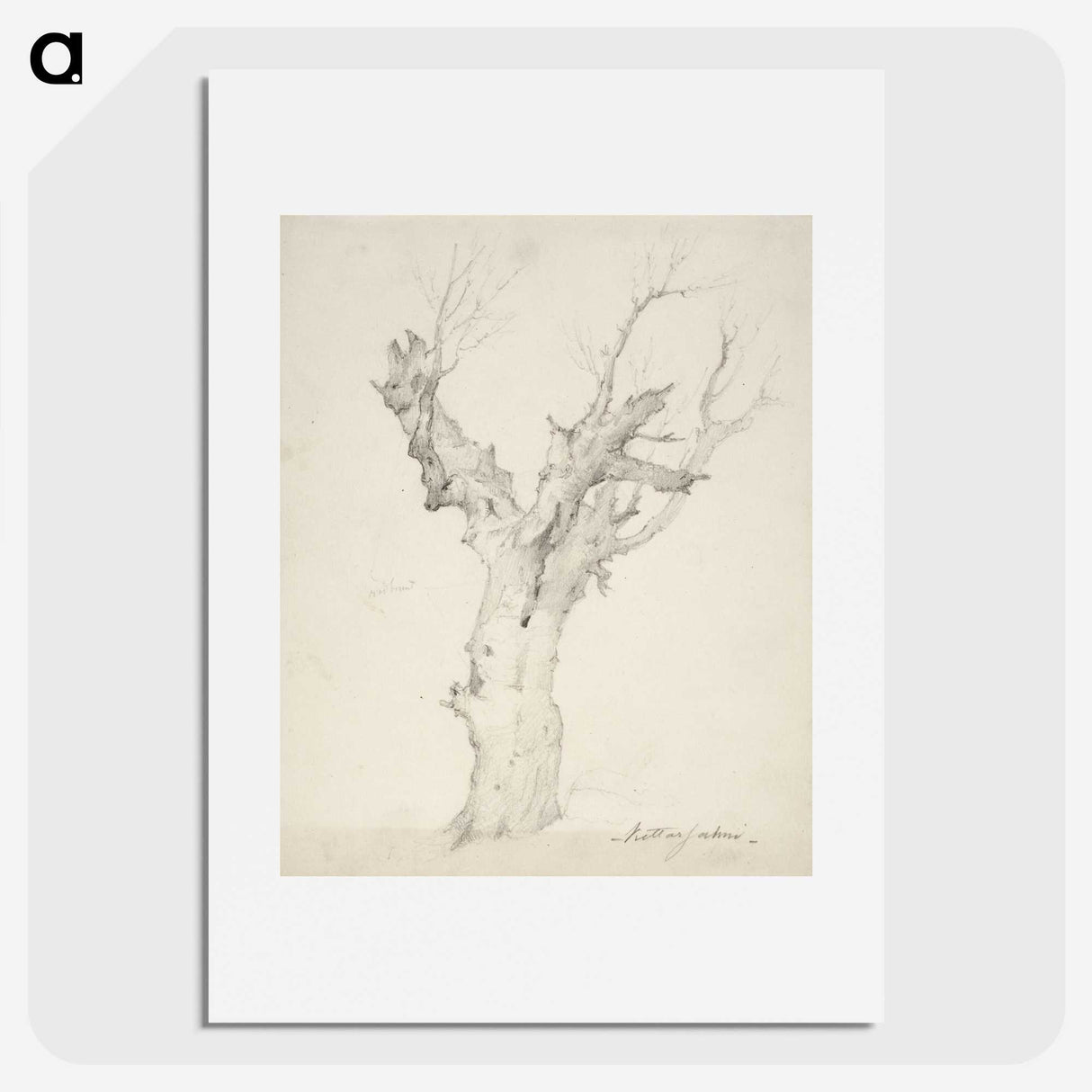 1-16_Anders-Ekman_picture