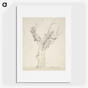 1-16_Anders-Ekman_picture