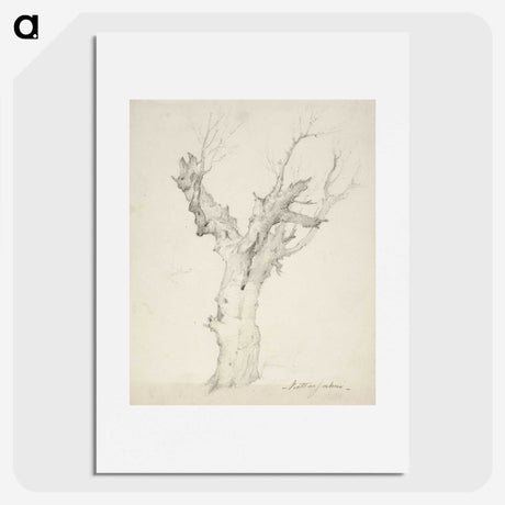 1-16_Anders-Ekman_picture