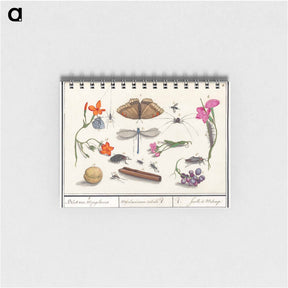 アートメモ帳-Natural History Ensemble, no. 8 - アンセルムス ボエティウス デ ブート Memo.