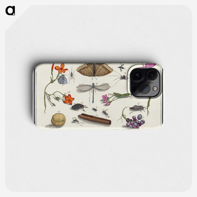 1-16_Anselmus-Boetius-de-Boodt_phone