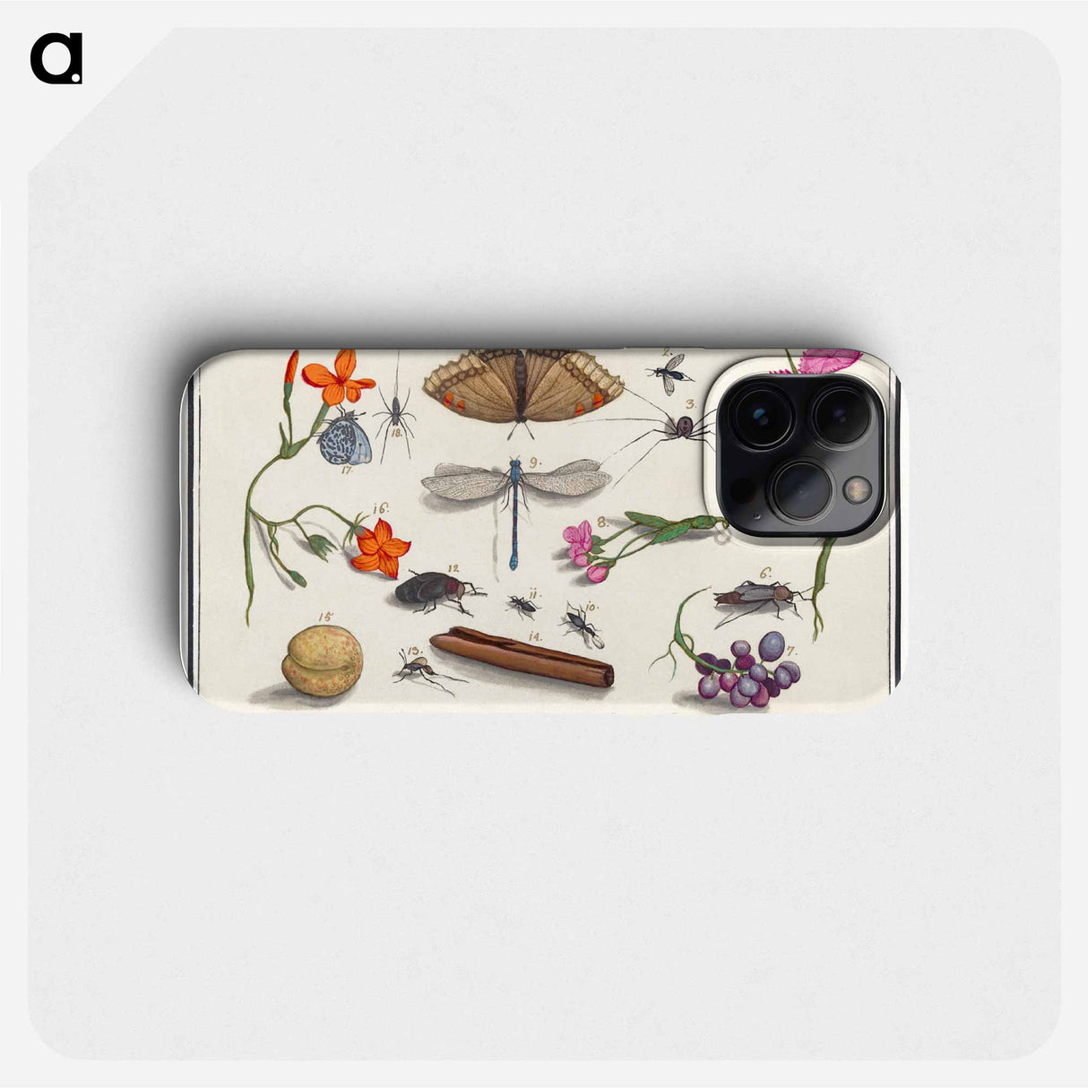 Natural History Ensemble, no. 8 - アンセルムス ボエティウス デ ブート Phone Case.