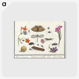 1-16_Anselmus-Boetius-de-Boodt_postcard