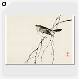 1-16_Bairei-Gakan_picture-crop