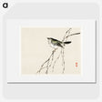 1-16_Bairei-Gakan_picture