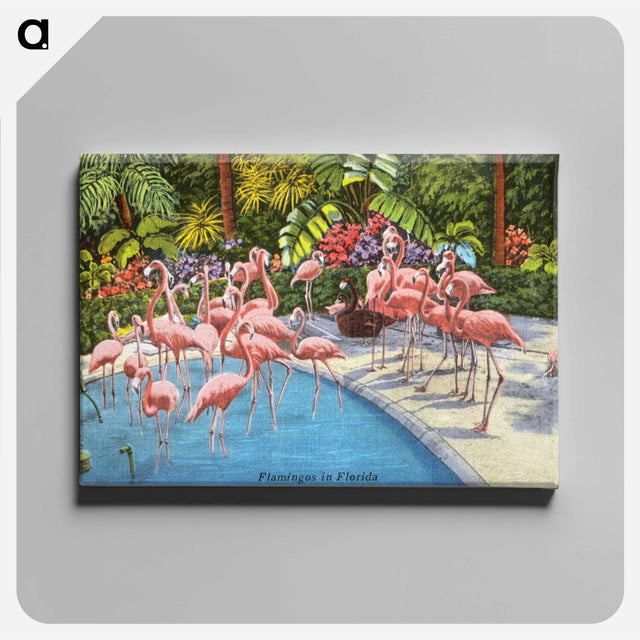 アートパネル-Flamingos in Florida
 - ボストン公共図書館 Canvas.