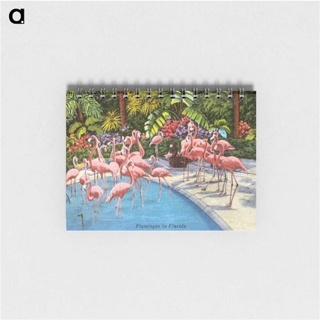 アートメモ帳-Flamingos in Florida
 - ボストン公共図書館 Memo.