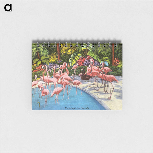 アートメモ帳-Flamingos in Florida
 - ボストン公共図書館 Memo.