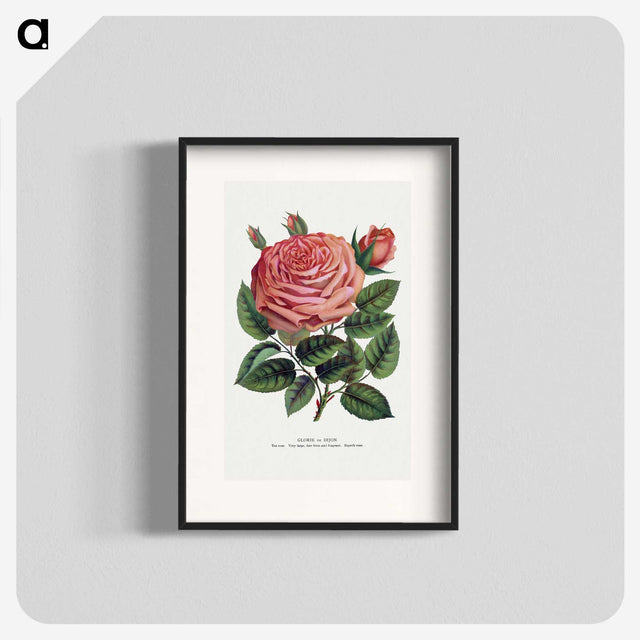 1-16_Botanical-Specimen-Plates_blk