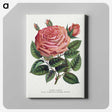 1-16_Botanical-Specimen-Plates_canvas
