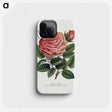 1-16_Botanical-Specimen-Plates_phone