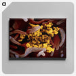 1-16_COVID-19_canvas