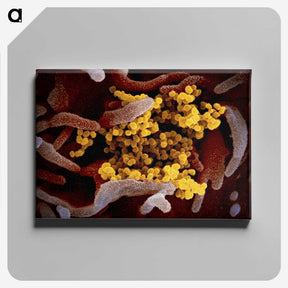 1-16_COVID-19_canvas