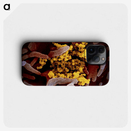 1-16_COVID-19_phone