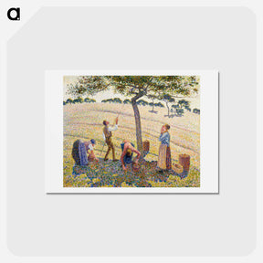 アートポストカード-Apple Harvest - カミーユ ピサロ Postcard.