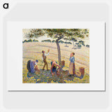 Apple Harvest - Camille Pissarro Poster.