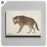 1-16_Charles-Hamilton-Smith_canvas