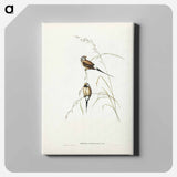 アートパネル-Carp Swimming by Water Weeds
 - クリーブランド美術館 Canvas.