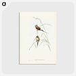 アートポストカード-Carp Swimming by Water Weeds
 - クリーブランド美術館 Postcard.