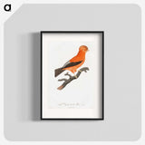 1-16_Des-Oiseaux-de-Paradis_blk