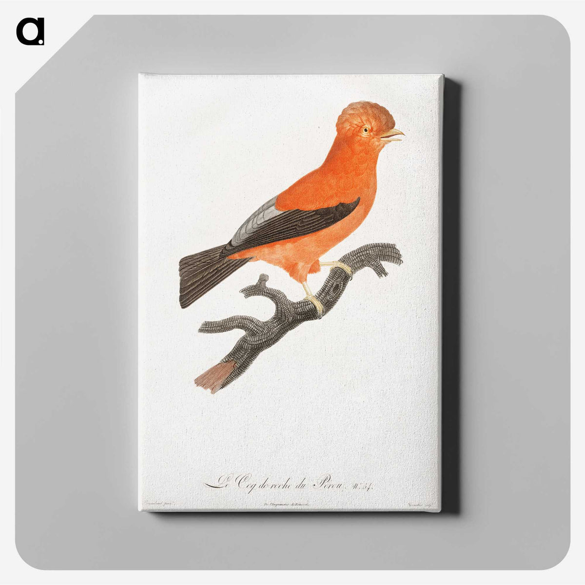 1-16_Des-Oiseaux-de-Paradis_canvas