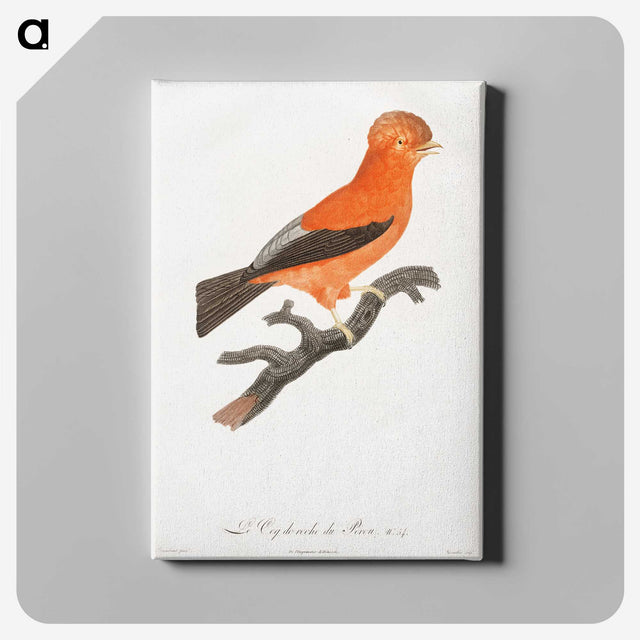1-16_Des-Oiseaux-de-Paradis_canvas