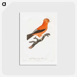 1-16_Des-Oiseaux-de-Paradis_hagaki