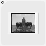 1-16_Dorothea-Lange_hagaki