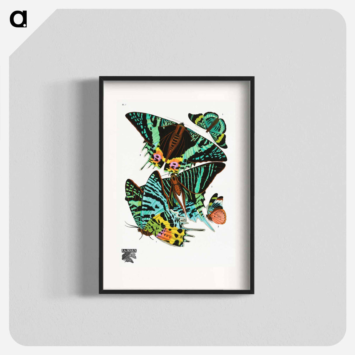 E.A. Séguy's vintage butterflies - E.A.セギー Poster.
