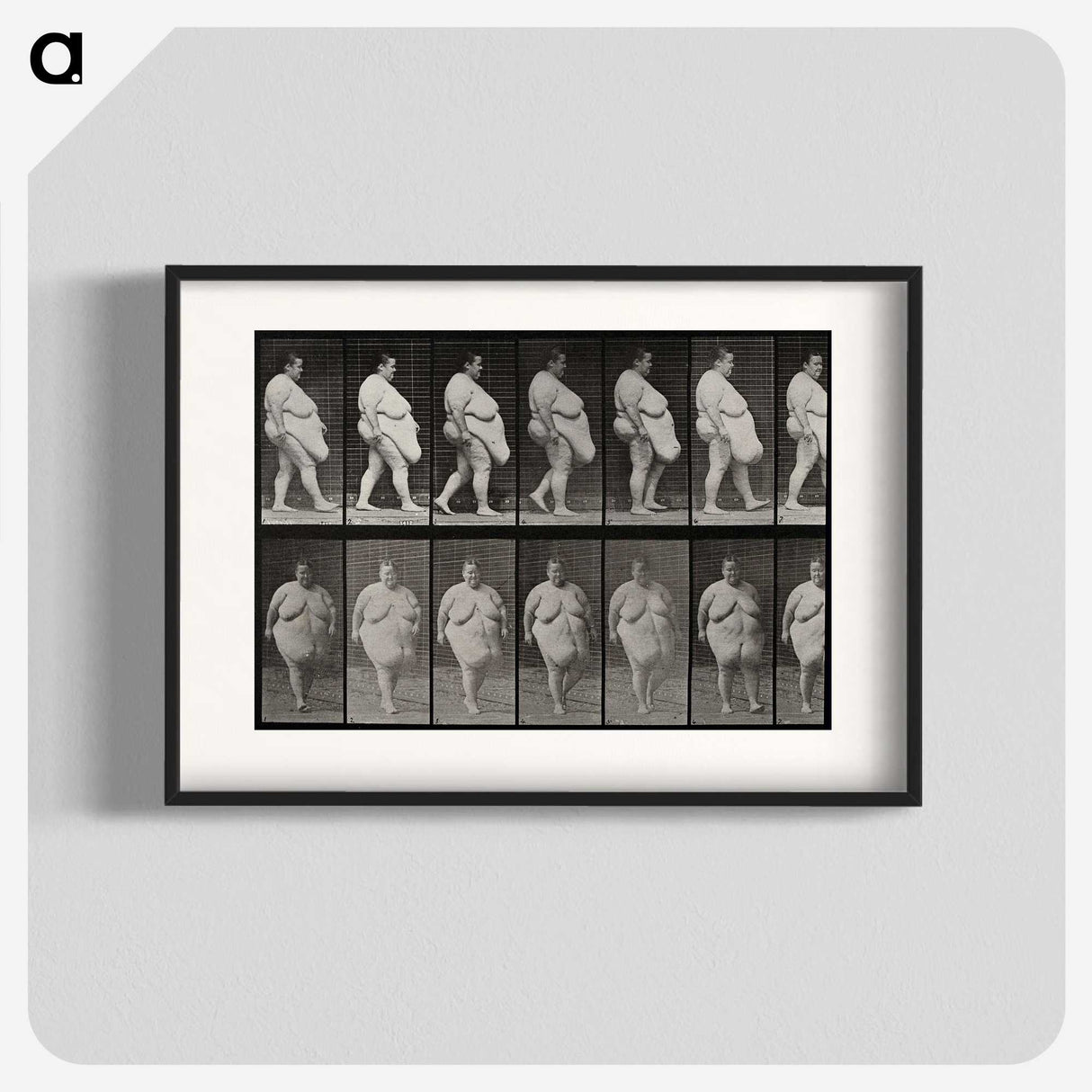 1-16_Eadweard-Muybridge_blk