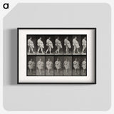 1-16_Eadweard-Muybridge_blk