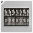 1-16_Eadweard-Muybridge_canvas