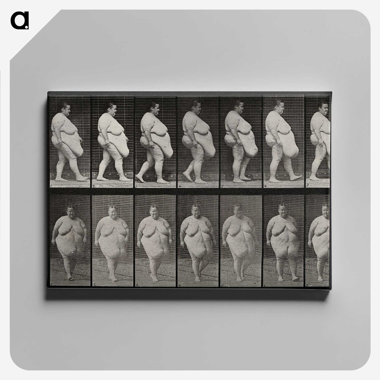 1-16_Eadweard-Muybridge_canvas