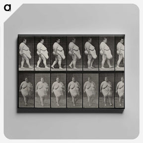 1-16_Eadweard-Muybridge_canvas