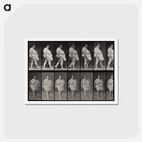 アートポストカード-Obese Woman Walking
 - エドワード マイブリッジ Postcard.
