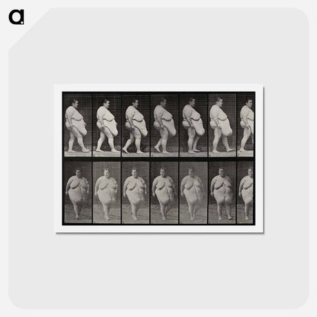 アートポストカード-Obese Woman Walking
 - エドワード マイブリッジ Postcard.