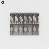 1-16_Eadweard-Muybridge_memo