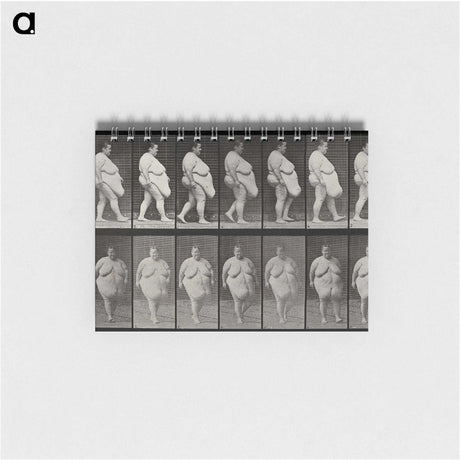 1-16_Eadweard-Muybridge_memo