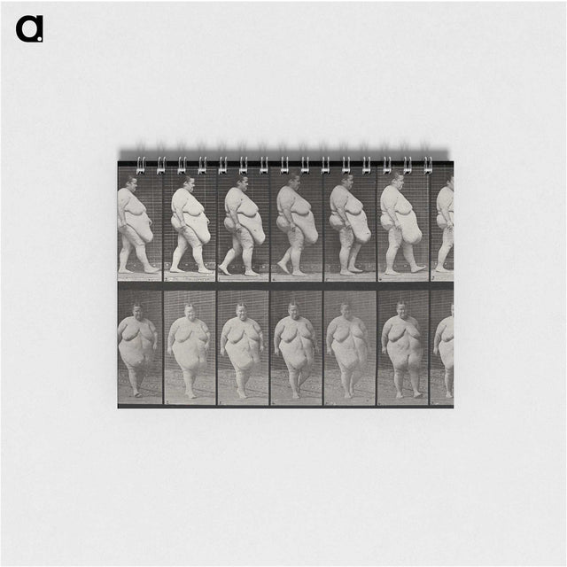 1-16_Eadweard-Muybridge_memo