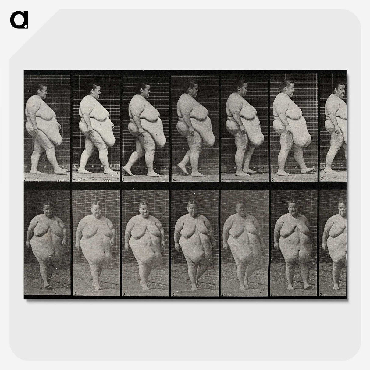 1-16_Eadweard-Muybridge_picture-crop