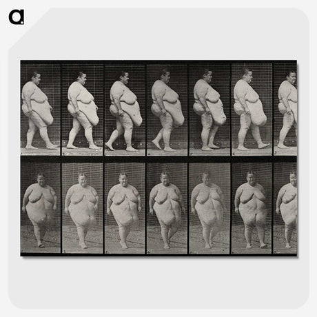 1-16_Eadweard-Muybridge_picture-crop