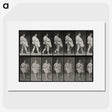 1-16_Eadweard-Muybridge_picture