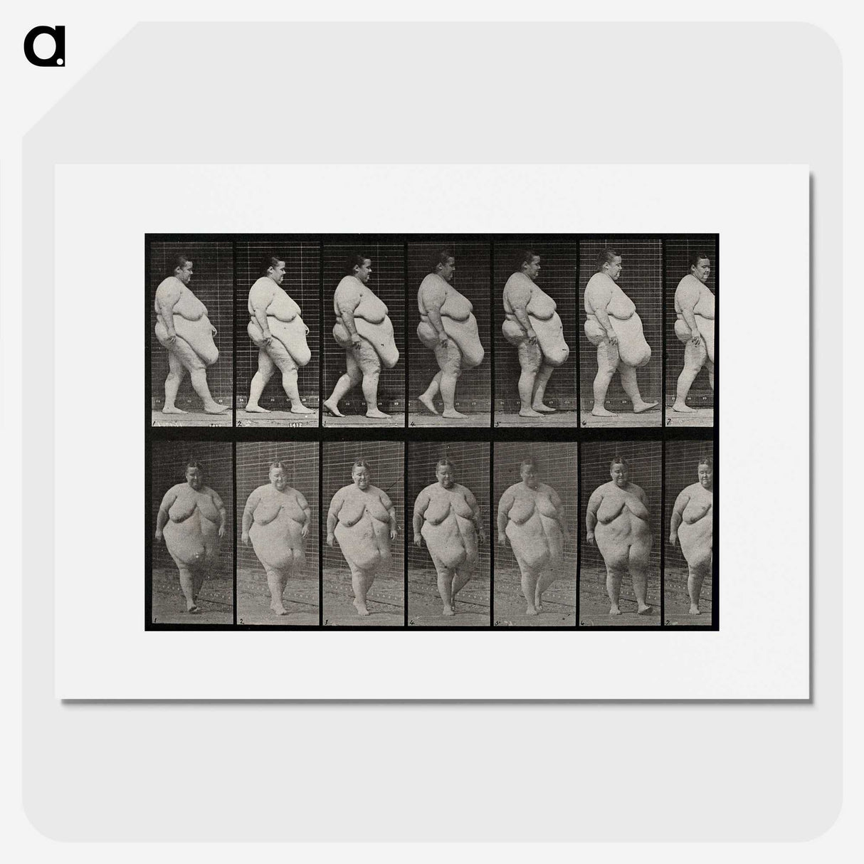 1-16_Eadweard-Muybridge_picture