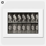 1-16_Eadweard-Muybridge_picture