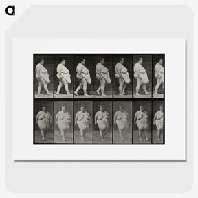 1-16_Eadweard-Muybridge_picture