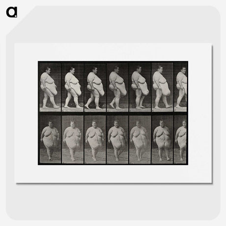 1-16_Eadweard-Muybridge_picture