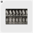1-16_Eadweard-Muybridge_postcard