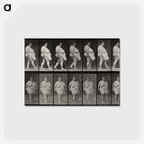 アートポストカード-Obese Woman Walking
 - エドワード マイブリッジ Postcard.