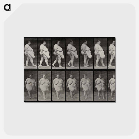 アートポストカード-Obese Woman Walking
 - エドワード マイブリッジ Postcard.