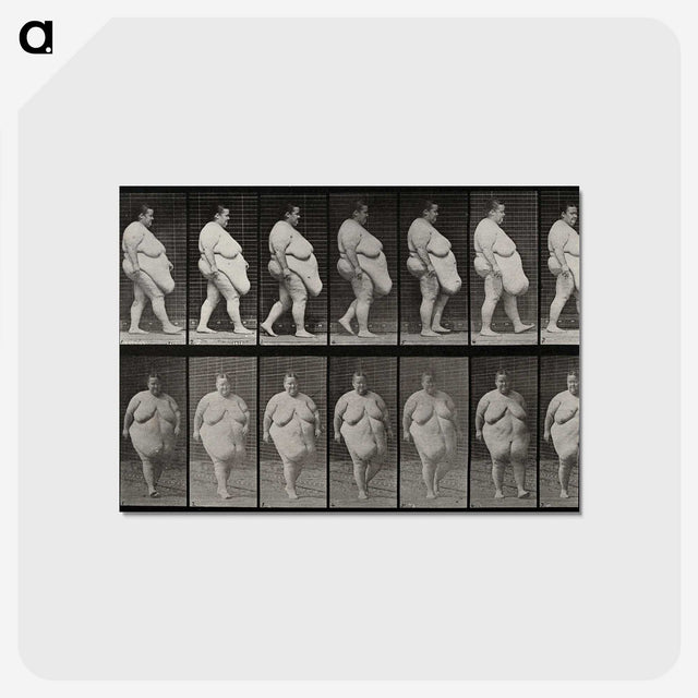 1-16_Eadweard-Muybridge_postcard